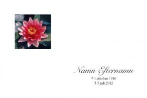 Tackkort med röd näckros