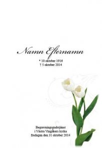 Programkort med bit tulpan