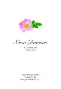 Programkort med nyponros